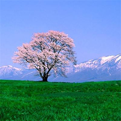 数码宝贝GO手游(暂未上线)v1.53.20 安卓版