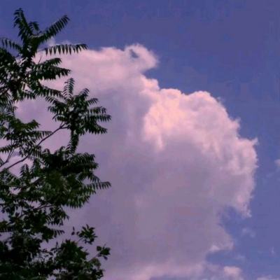 苍穹之巅游戏下载